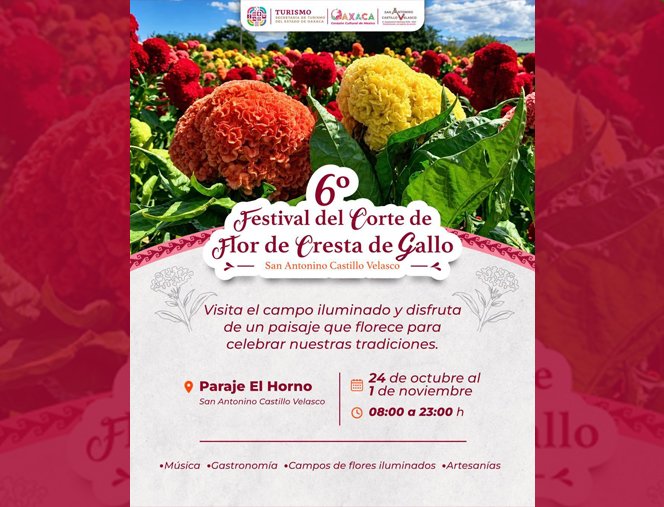 6º Festival del Corte de Flor de Cresta de Gallo
