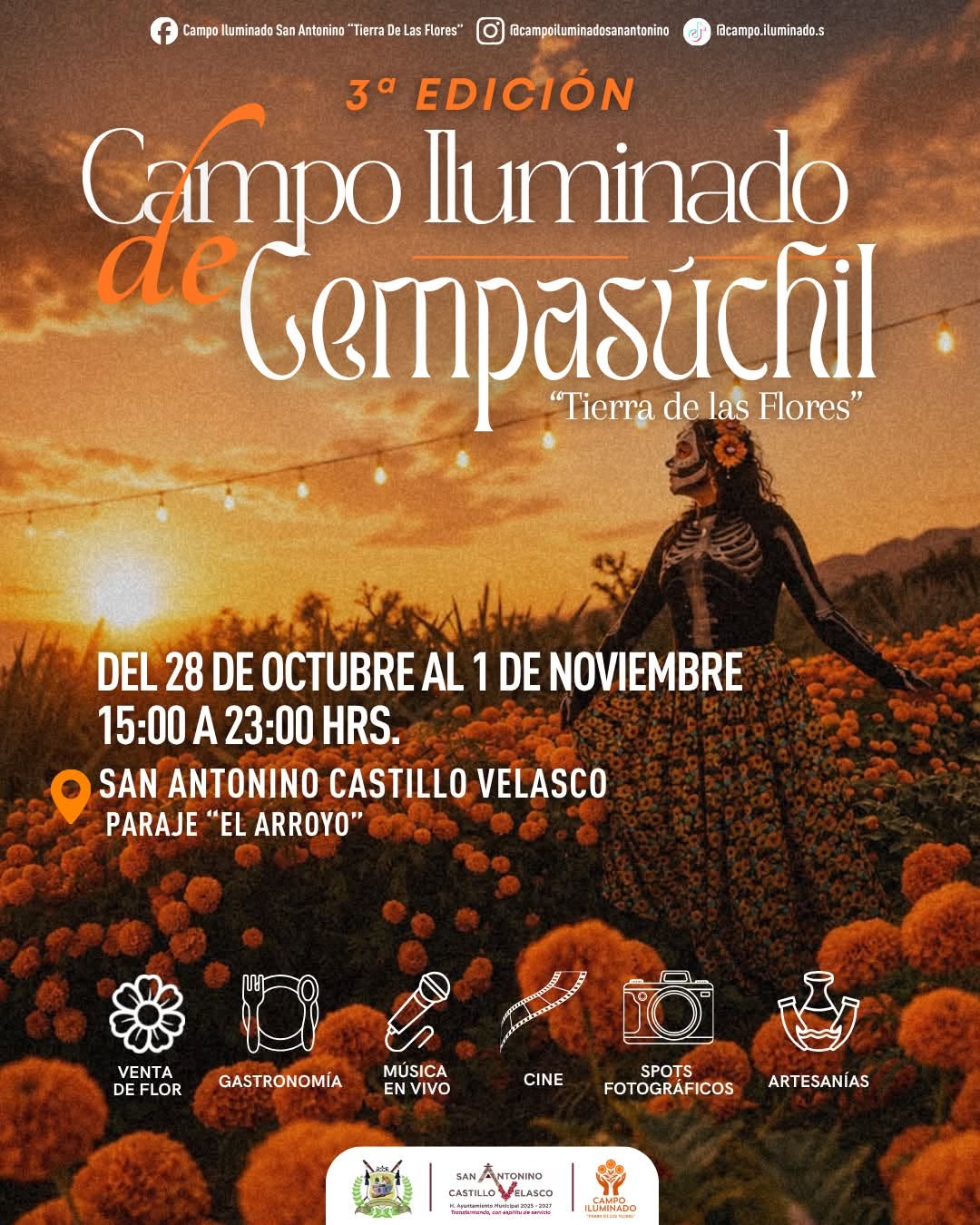 Campo Iluminado de Cempasúchil "Tierra de las Flores"