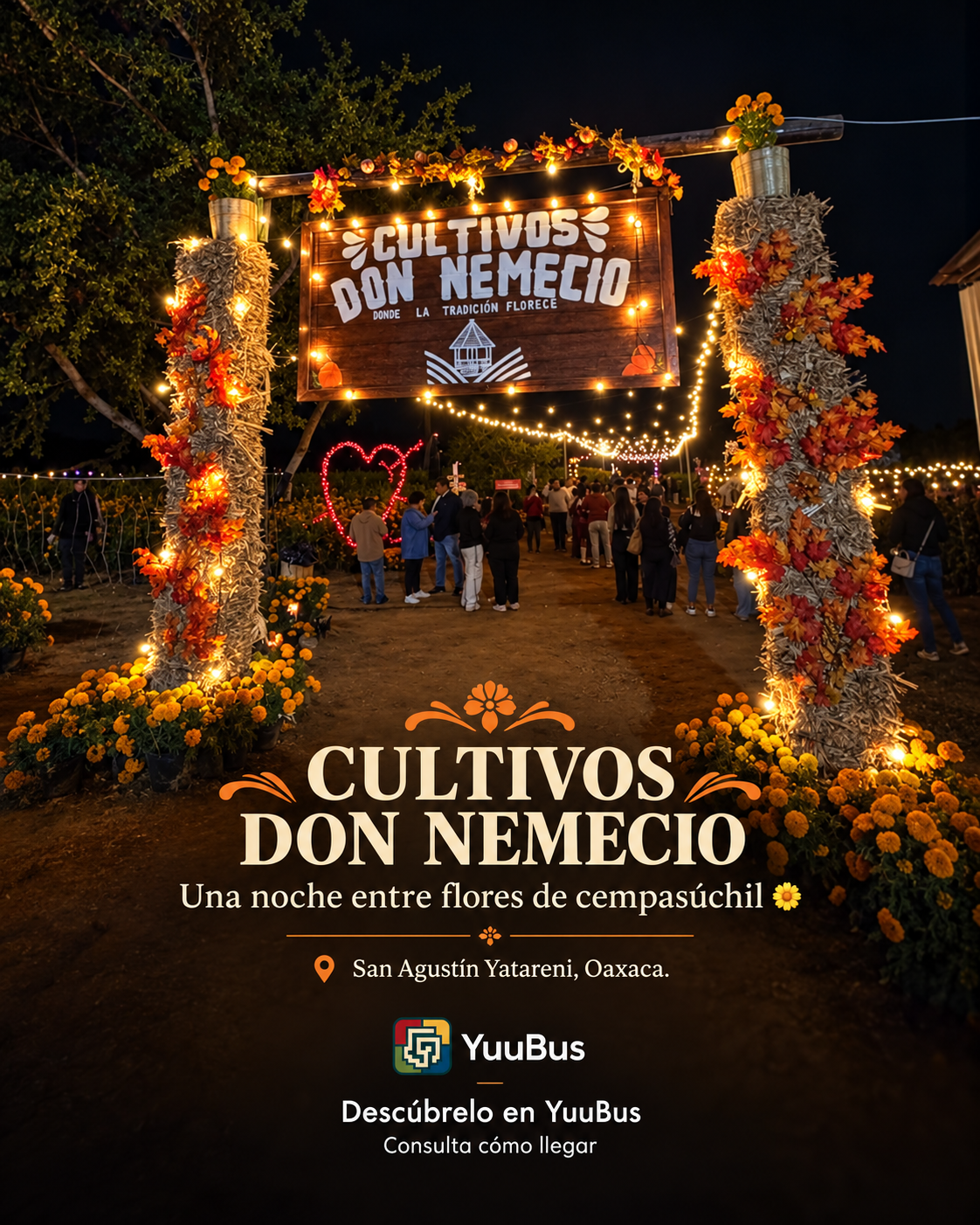 Cultivos Don Nemecio — Cempasúchil 2026